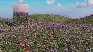 a field of flowers with a box in the middle