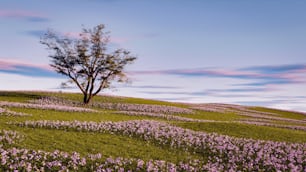 a lone tree on a grassy hill with purple flowers