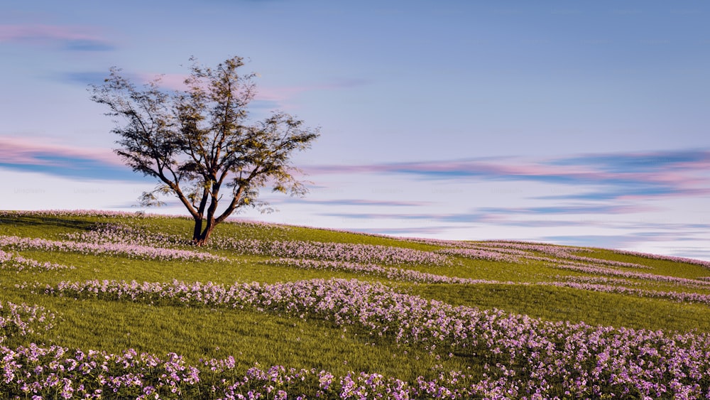 a lone tree on a grassy hill with purple flowers