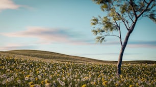 un champ de fleurs avec un arbre au milieu