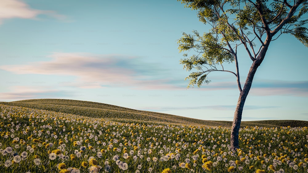 a field of flowers with a tree in the middle