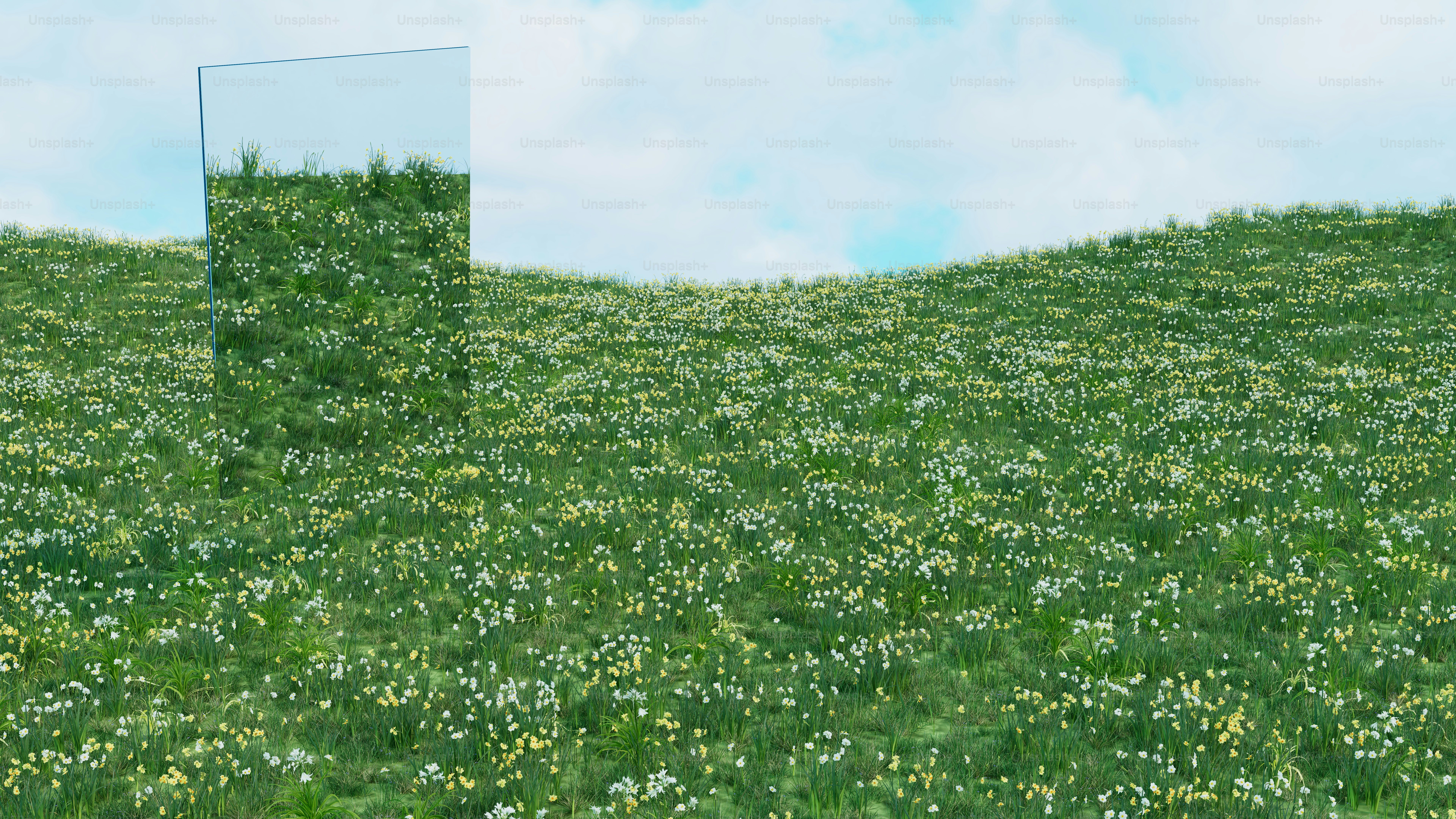 3D - Spring Landscapes - Flower Spring Meadow with Mirror - 8K