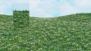 un espejo sentado en medio de un campo de flores