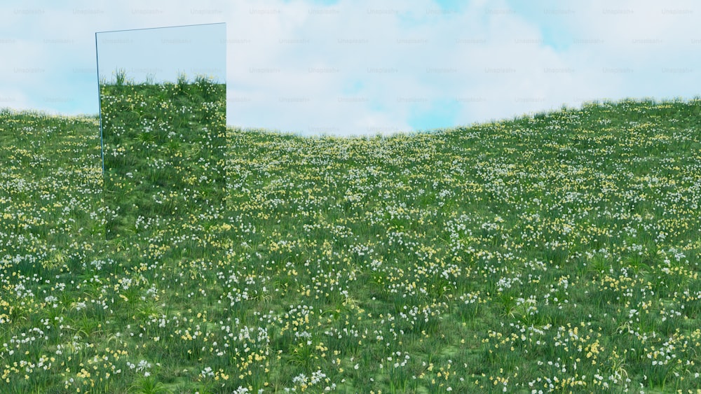 a mirror sitting in the middle of a field of flowers