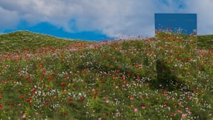 a field of flowers with a blue box in the middle