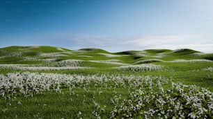 a field of grass with white flowers on it