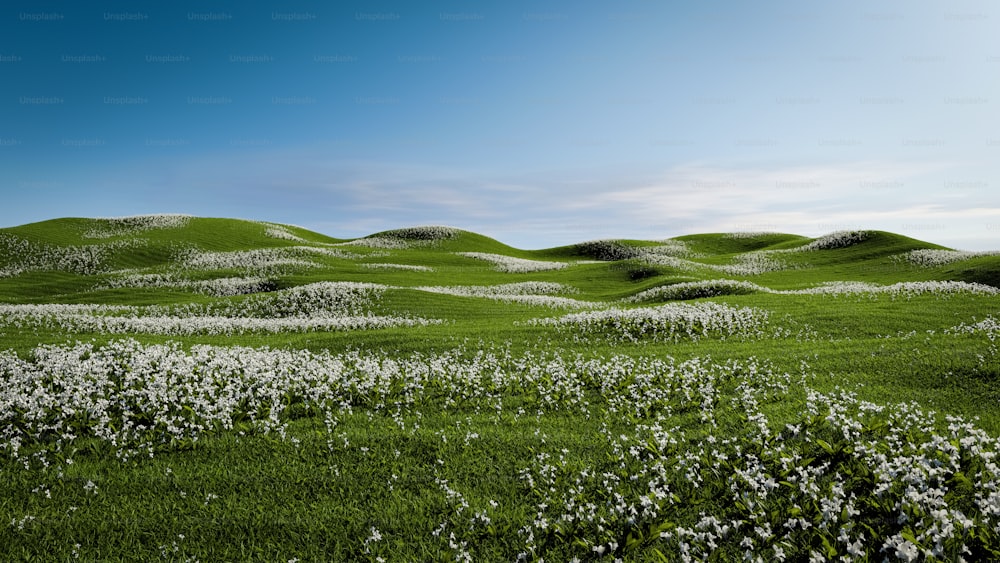 a field of grass with white flowers on it
