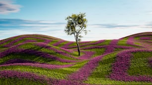 a lone tree in a field of purple flowers
