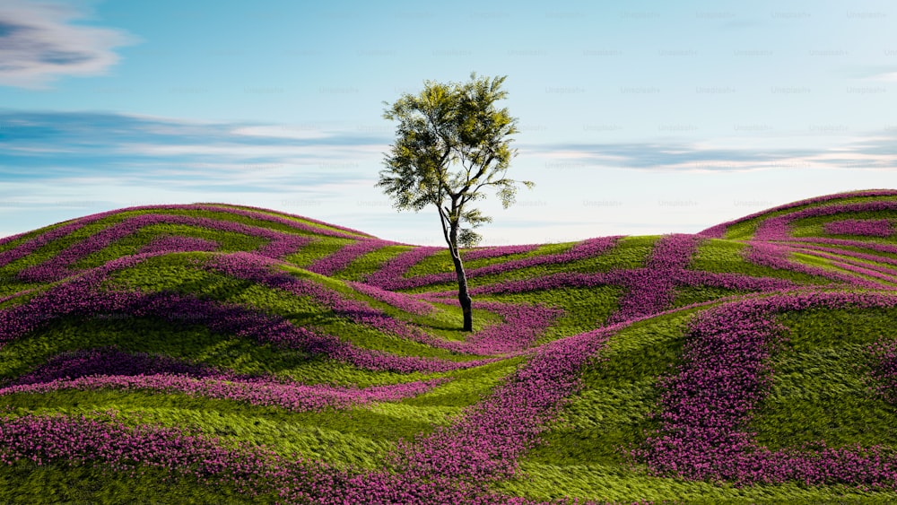 a lone tree in a field of purple flowers