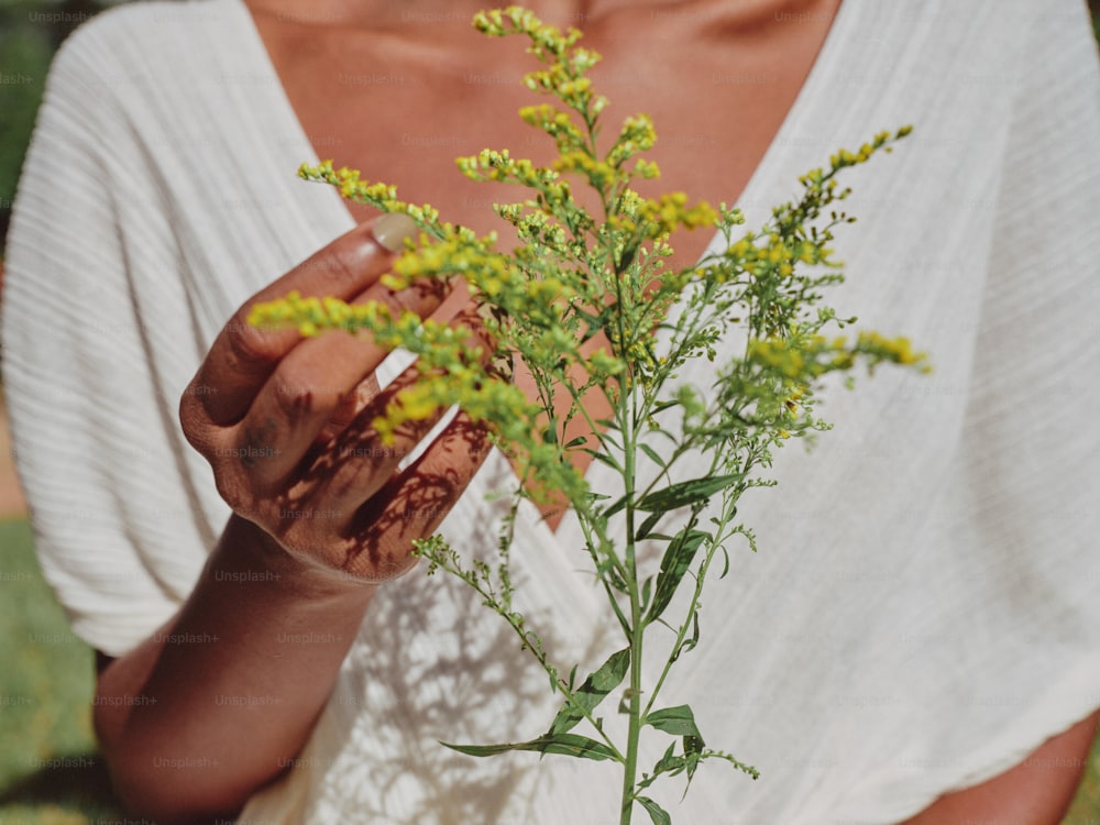 a woman holding a plant in her hands