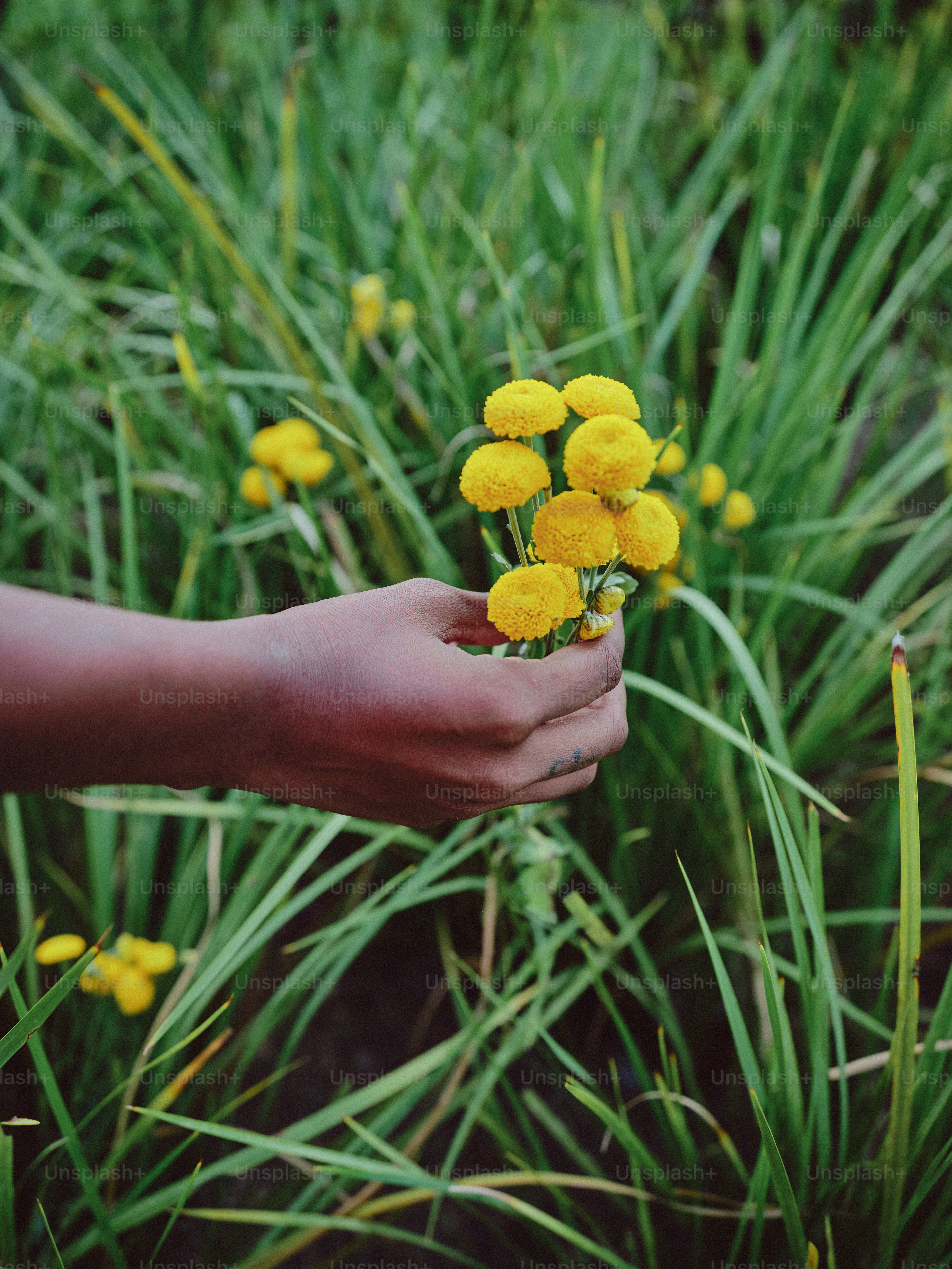 eine Person, die einen Strauß gelber Blumen hält