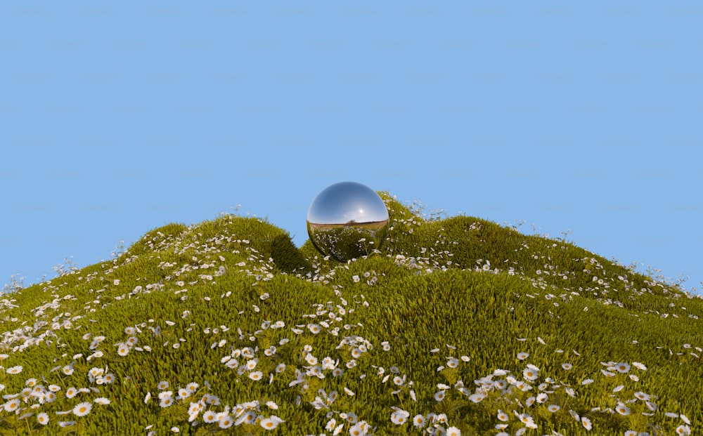 una bola plateada sentada en la cima de una exuberante ladera verde