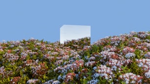 un cubo bianco seduto in mezzo a un campo di fiori