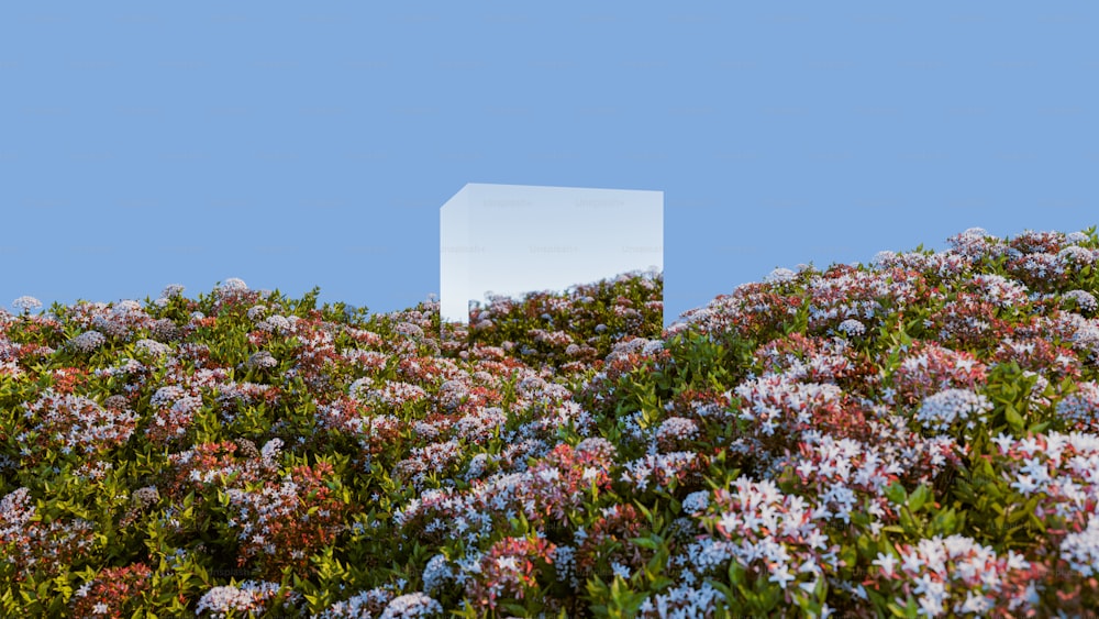 a white cube sitting in the middle of a field of flowers