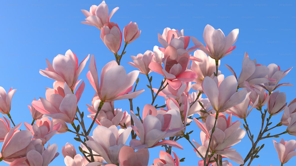 a bunch of pink flowers with a blue sky in the background