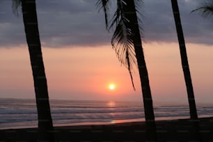 the sun is setting over the ocean with palm trees