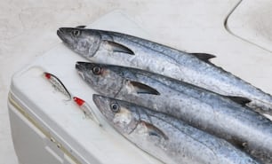 three fish sitting on top of a cutting board