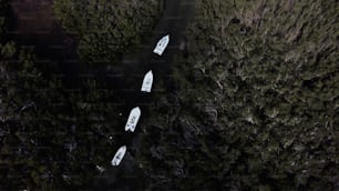 a group of boats floating on top of a river