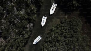 two white boats floating on top of a river