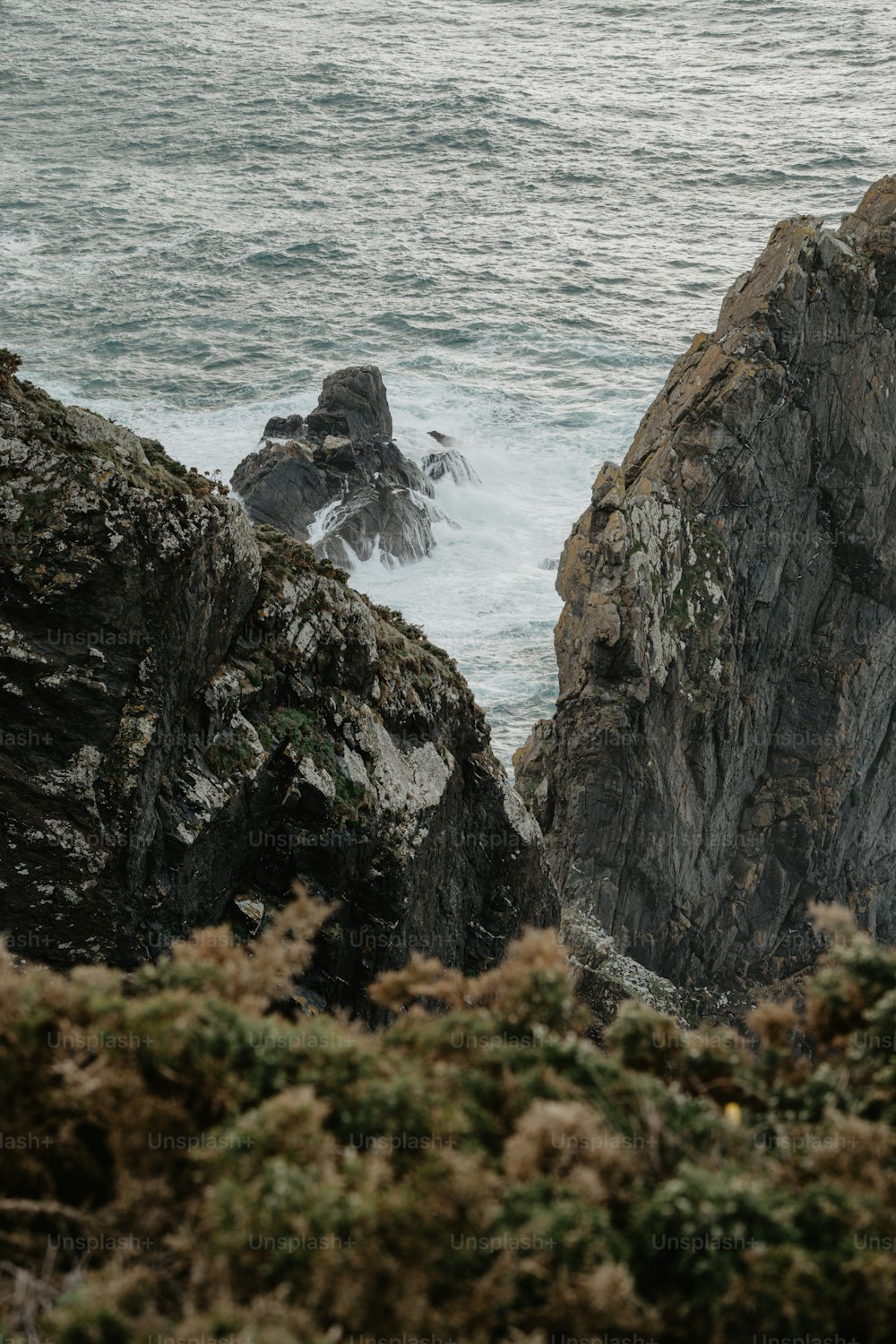 a bird sitting on top of a rock near the ocean