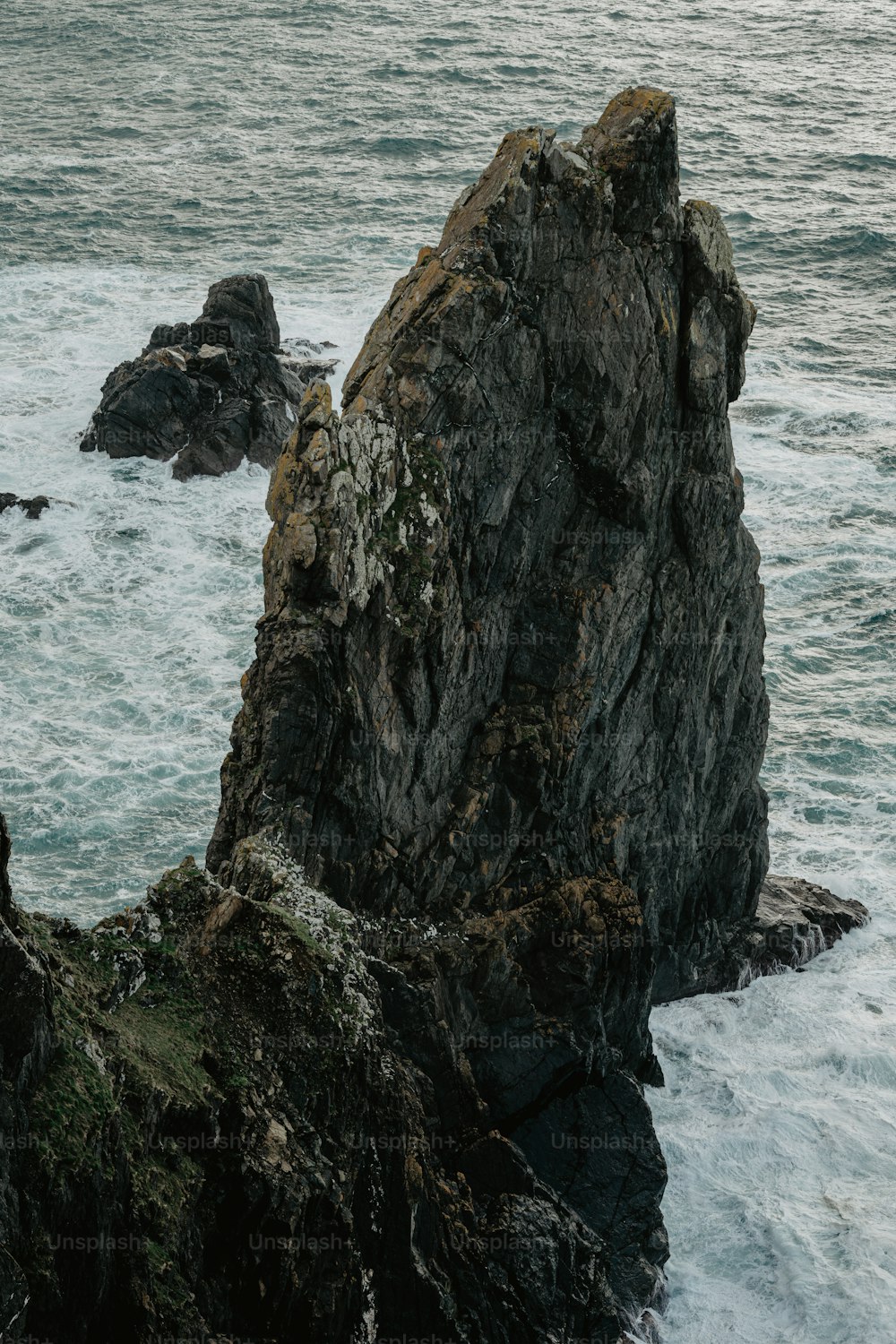 un oiseau assis au sommet d’un rocher près de l’océan