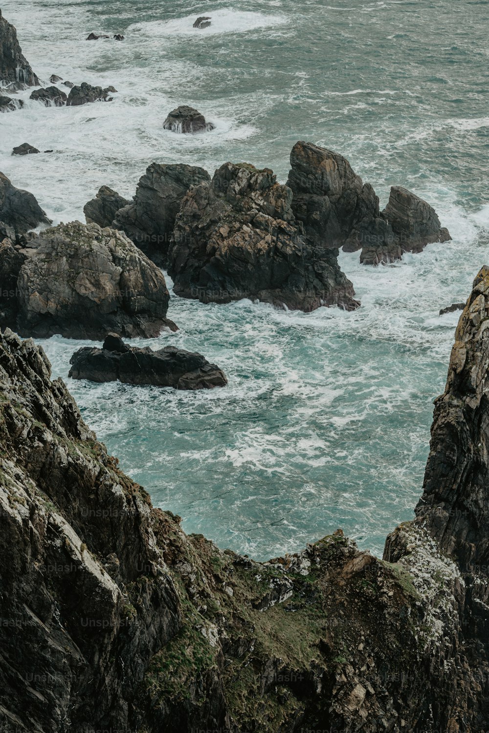 a couple of birds sitting on top of rocks near the ocean