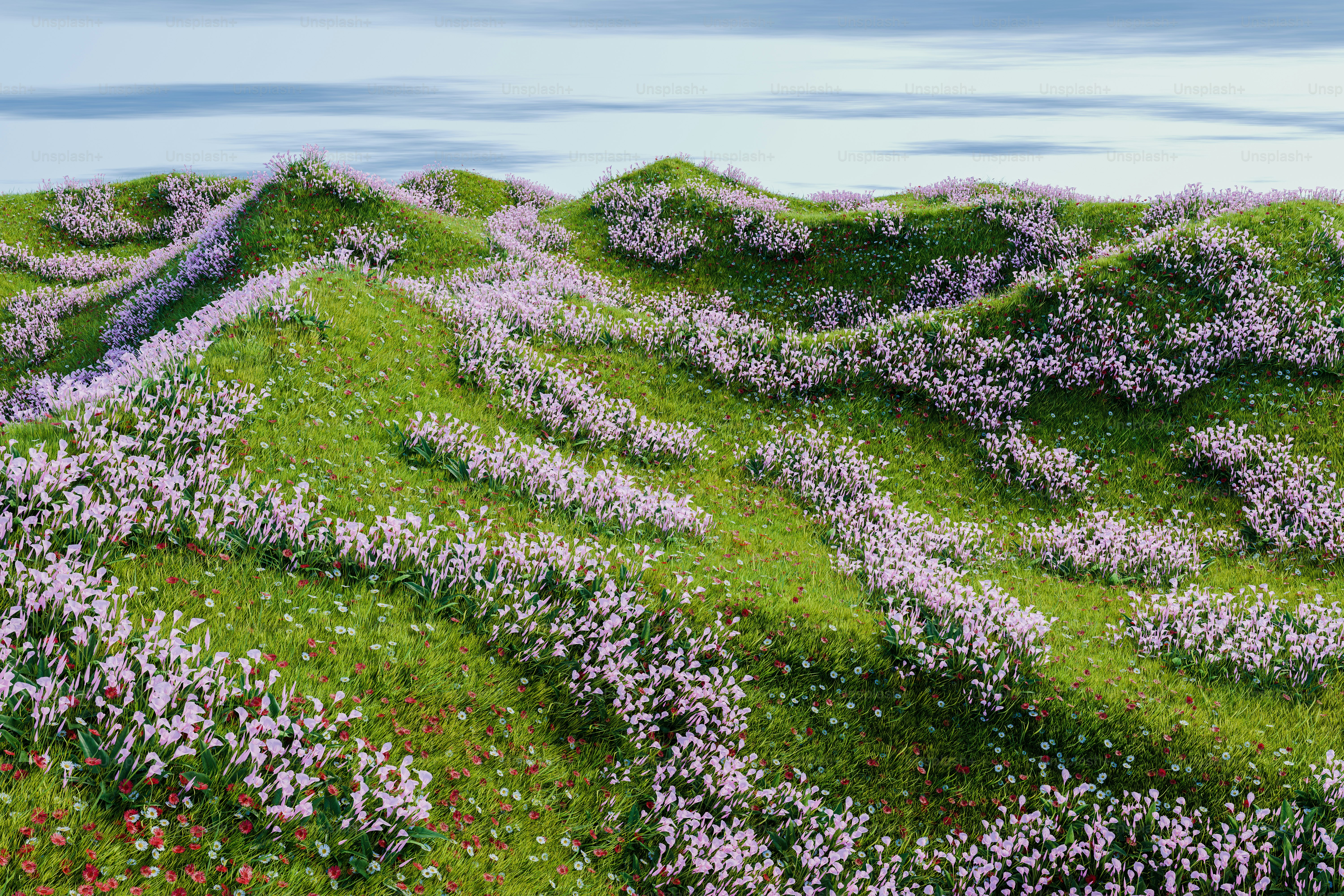 A painting of purple flowers growing on a green hillside photo ...