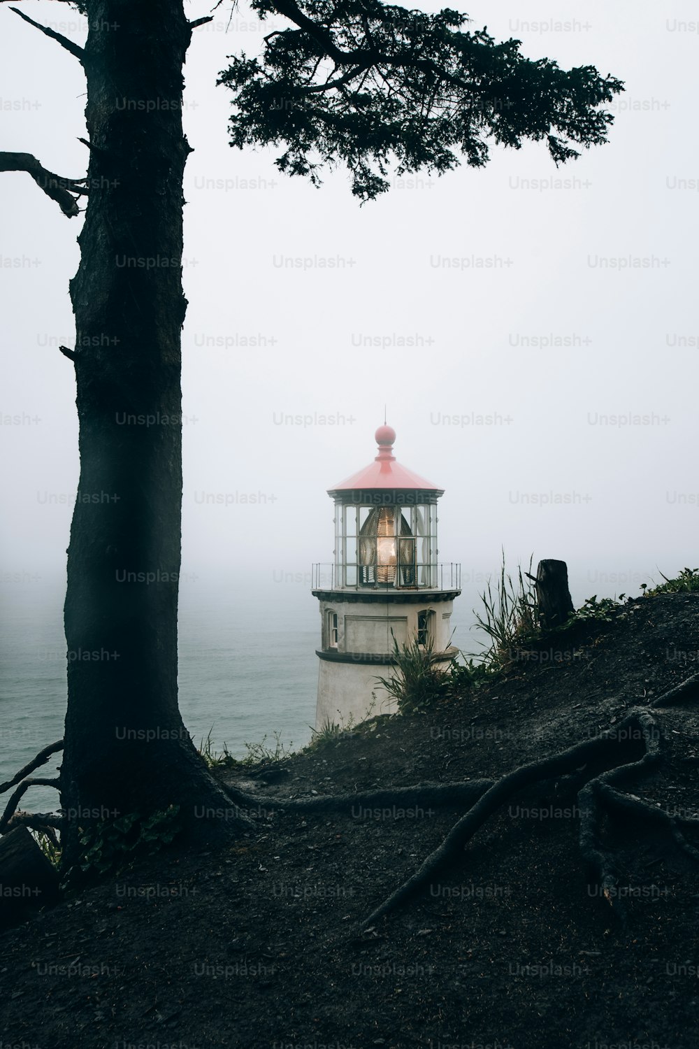un phare assis au sommet d’une colline à côté d’un arbre