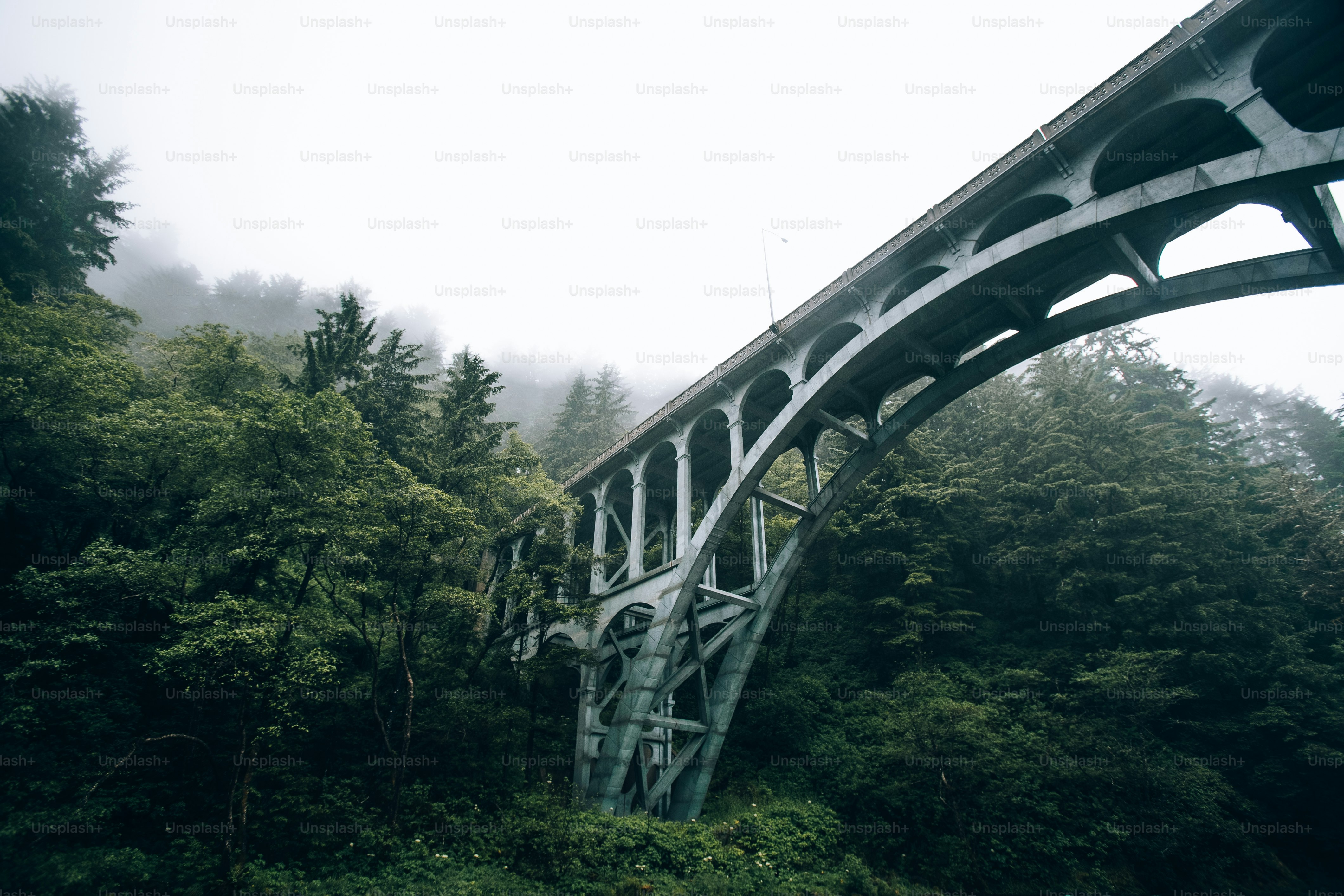 a large bridge over a lush green forest
