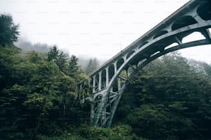 un gran puente sobre un frondoso bosque verde