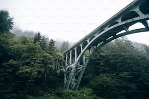 a large bridge over a lush green forest