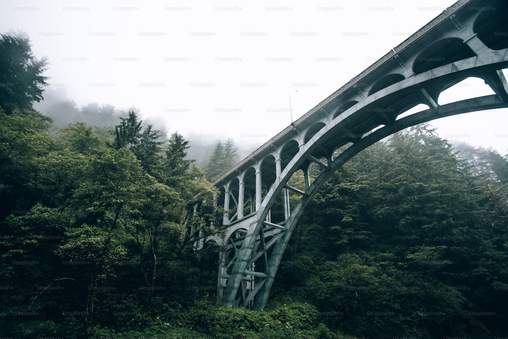 a large bridge over a lush green forest