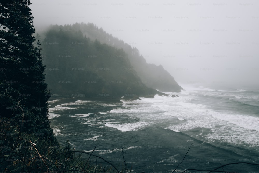 Une vue sur l’océan depuis une falaise par temps brumeux