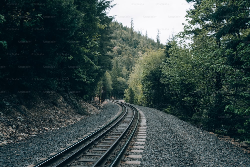 a train track in the middle of a forest