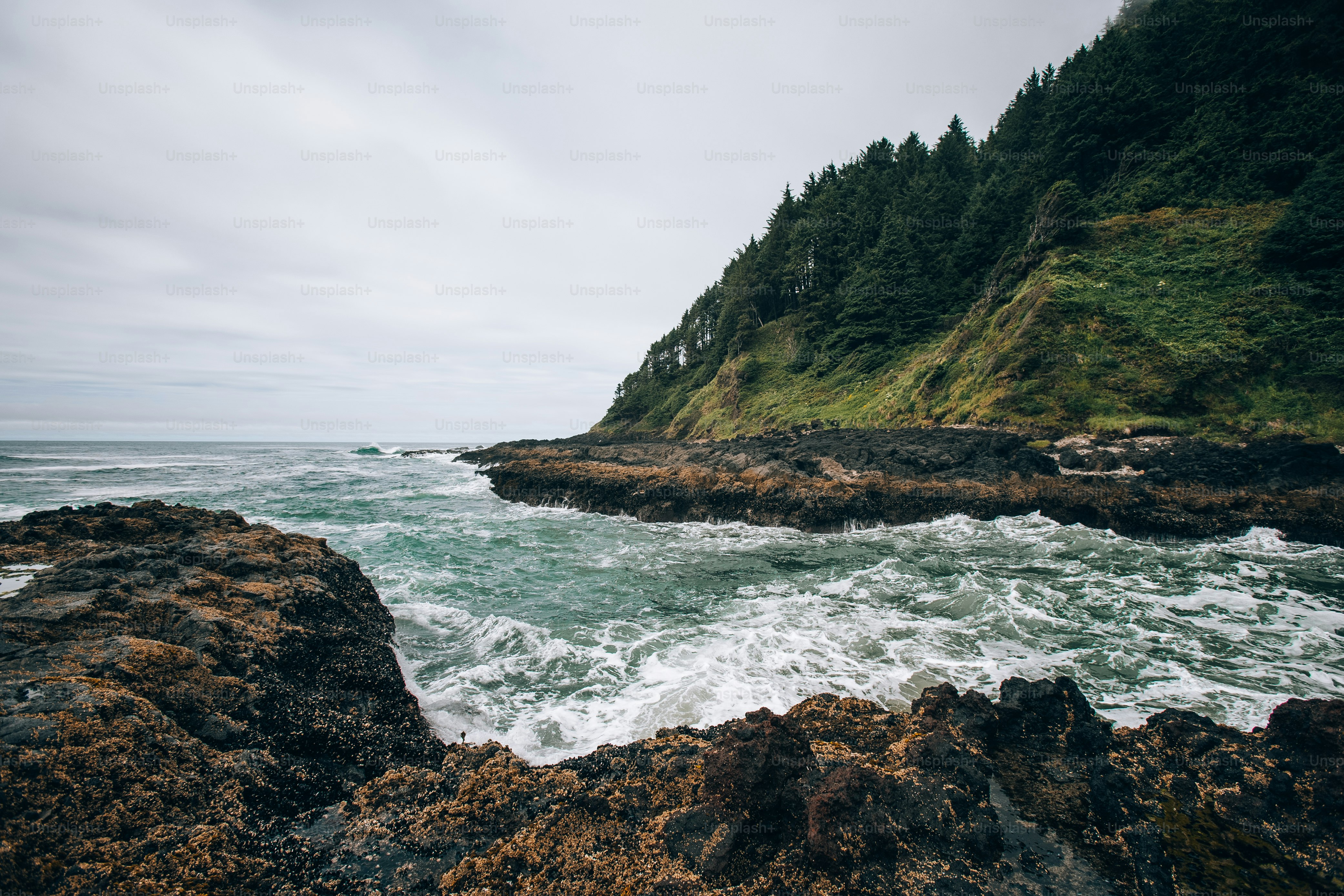 a large body of water near a rocky shore