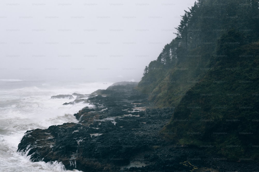 a foggy day on the coast of a body of water