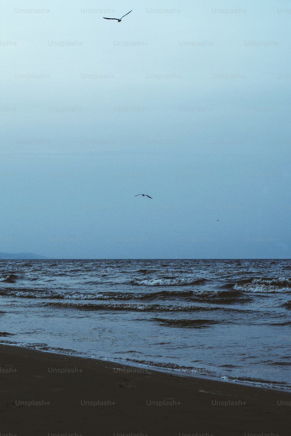 a couple of birds flying over a body of water