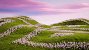 una colina cubierta de hierba con flores púrpuras que crecen en ella