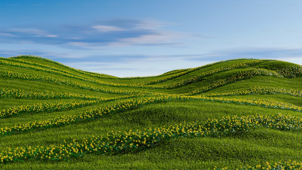 ein Gemälde eines grasbewachsenen Hügels mit gelben Blumen