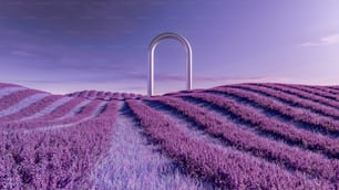 a purple field with a white arch in the middle