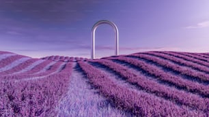 un champ violet avec une arche blanche au milieu