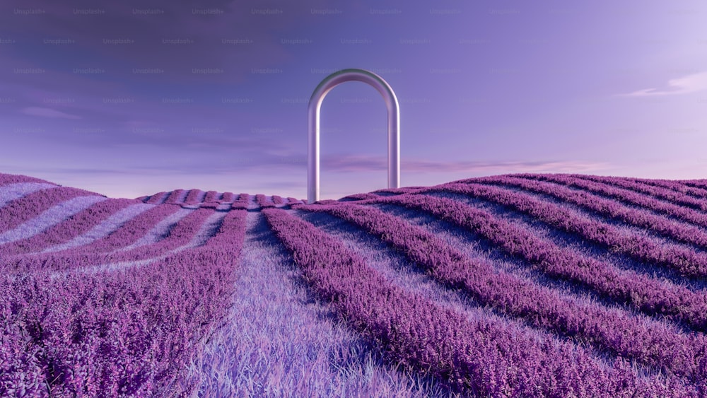 un champ violet avec une arche blanche au milieu