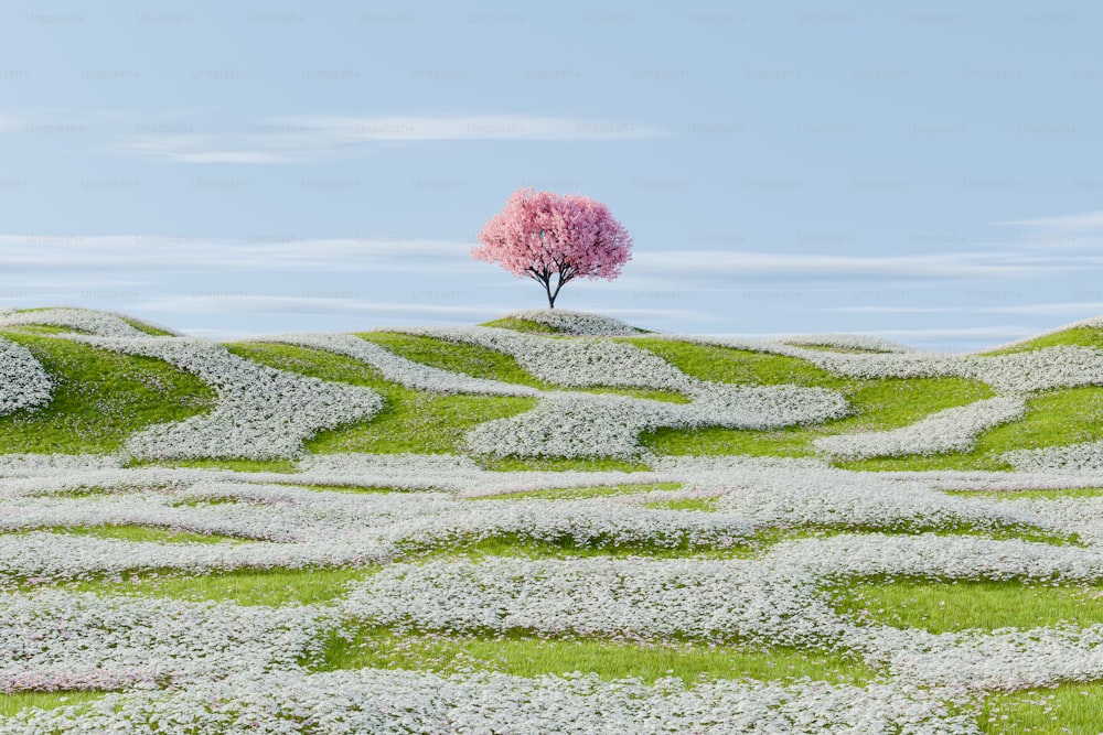 un arbre solitaire au sommet d’une colline herbeuse