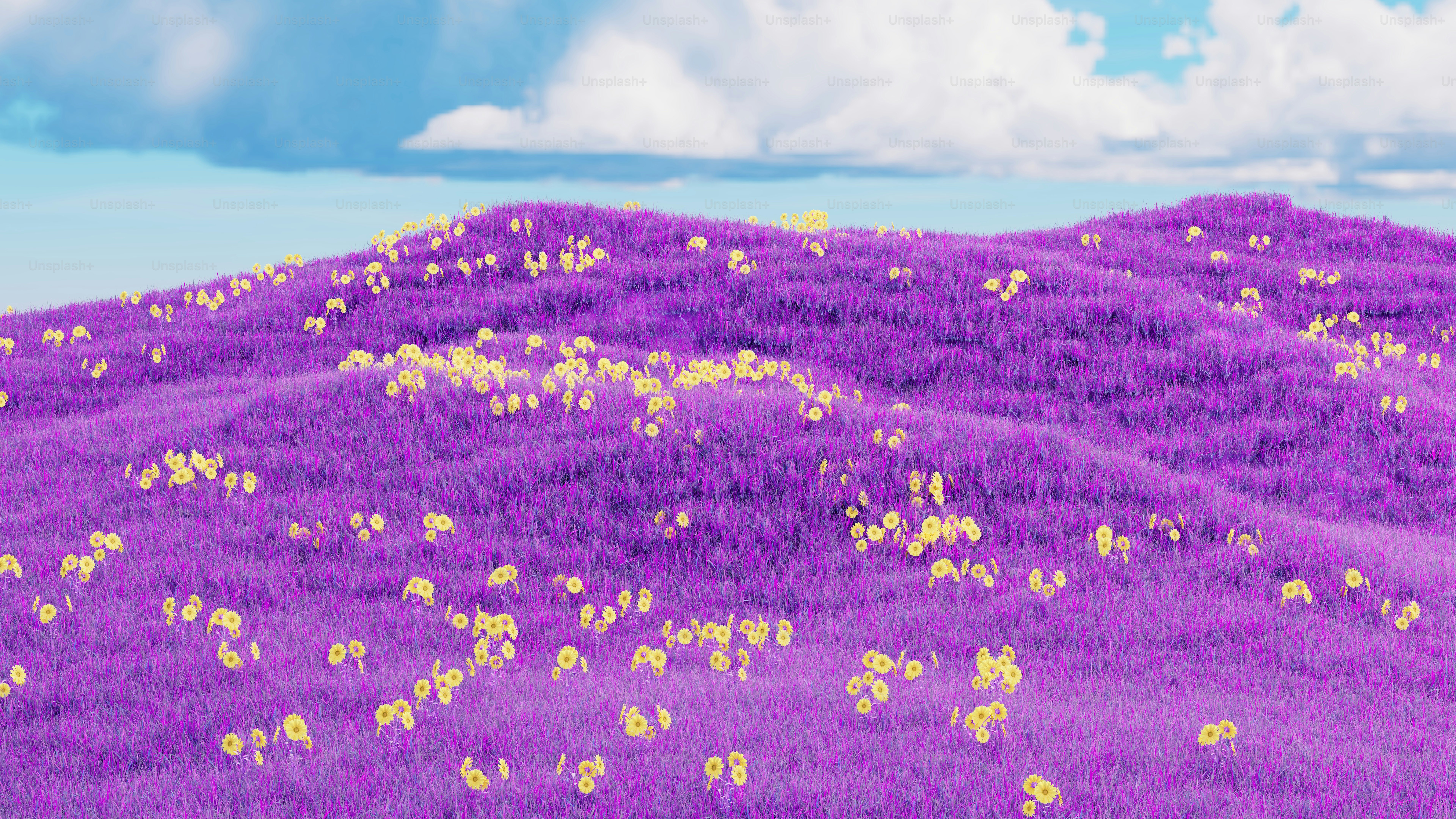 Purple Flower Field Pictures | Download Free Images on Unsplash