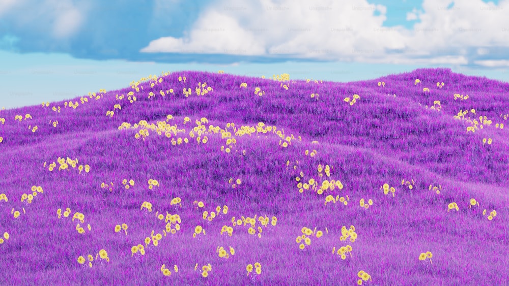 ein Feld aus lila Blumen mit einem Himmelshintergrund