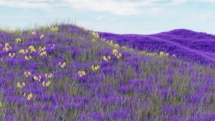 a field of purple flowers with a hill in the background