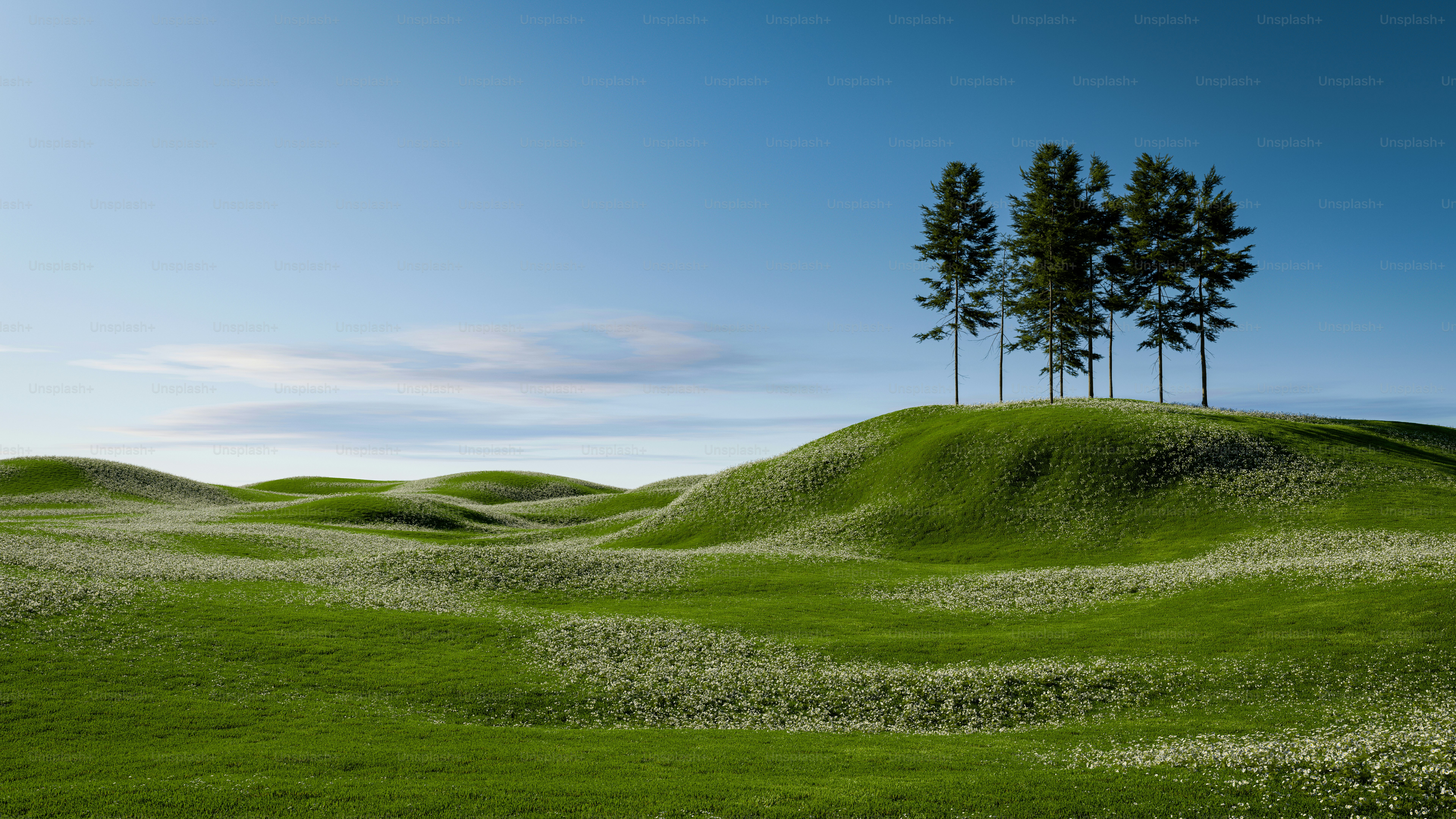 a grassy hill with trees on top of it