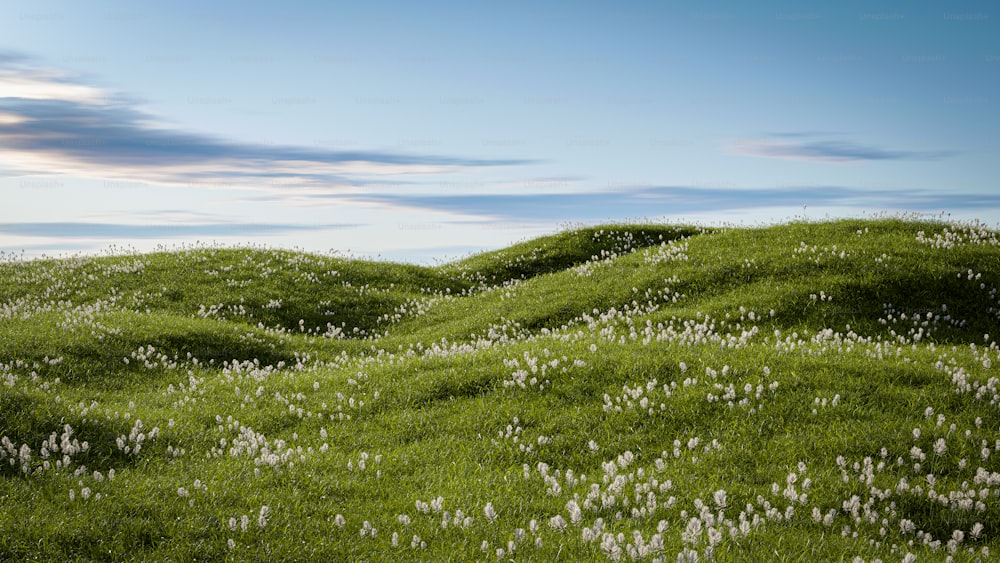 青空の下、白い花に覆われた草原の丘