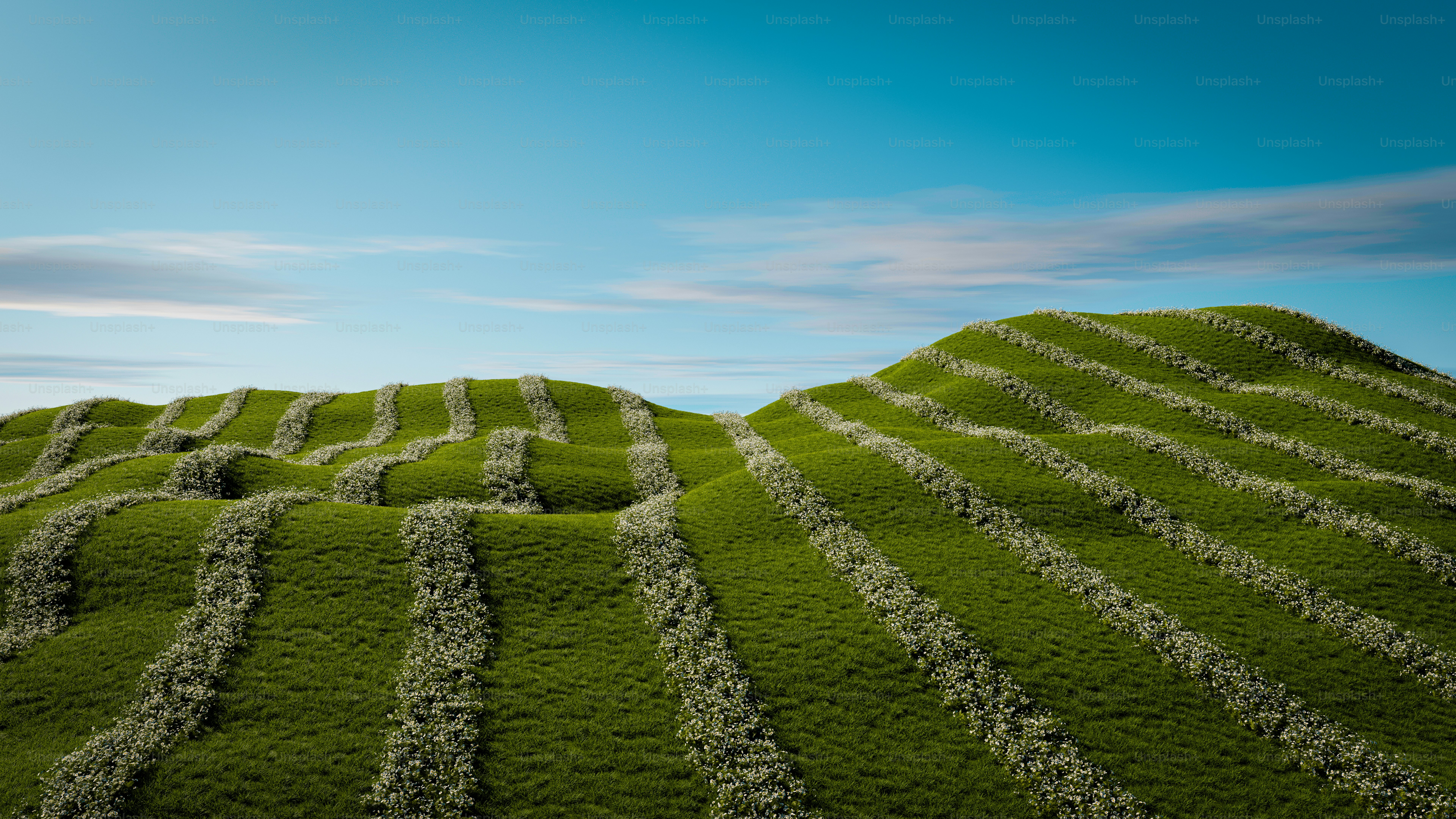 a field of grass with a blue sky in the background