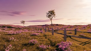 um campo com flores roxas e uma cerca de madeira